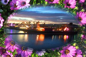 the boardwalk at night with flowers around