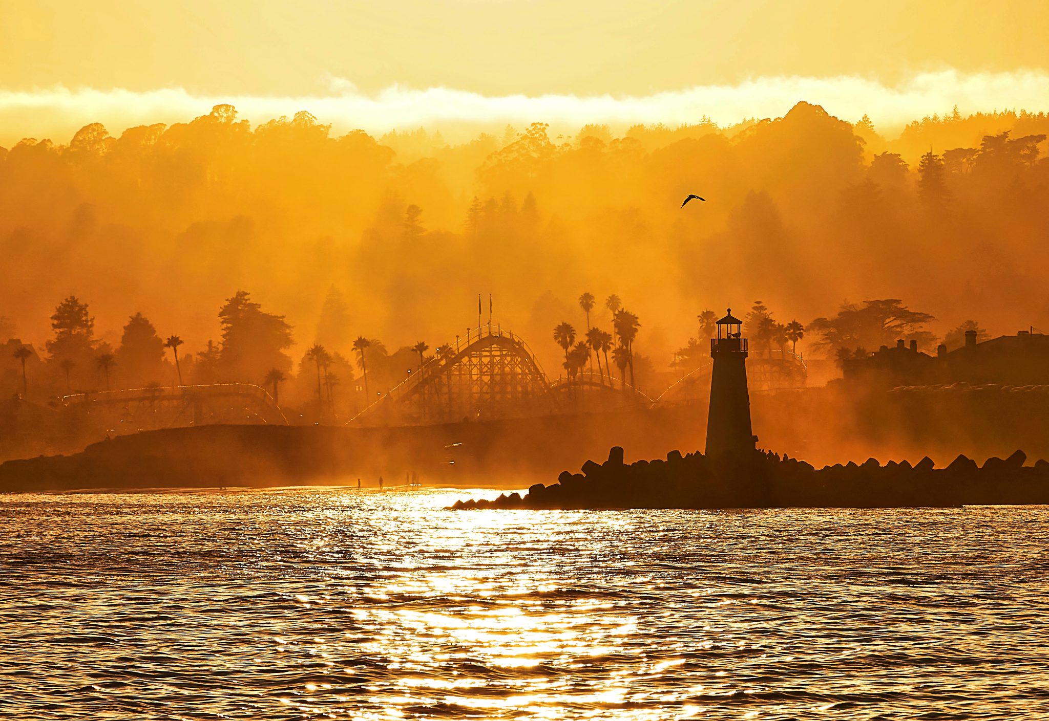 Scott - Santa Cruz - Santa Cruz Beach Boardwalk Amusement Park